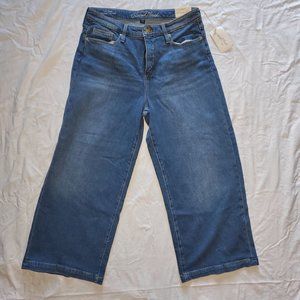 Universal Thread Highest Rise Wide Leg Jeans